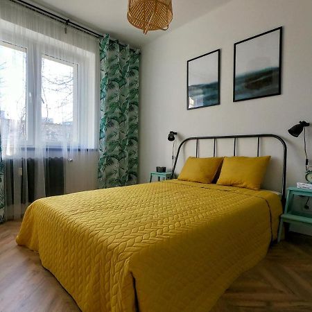 Przytulny Apartament Przy Sokolskiej - 550 Metrow Od Spodka Katowice Esterno foto